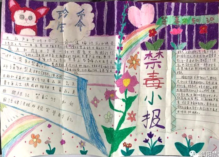 依法禁毒从我做起小学禁毒手抄报一等奖（9张）-图8