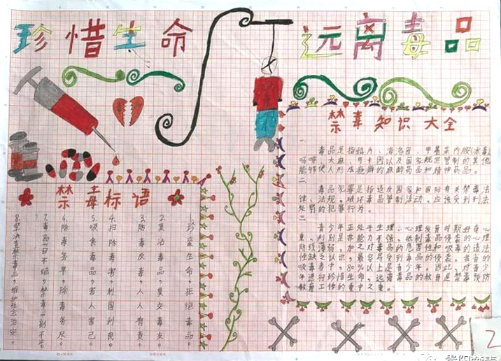 禁毒让世界更美好 小学禁毒主题手抄报二等奖作品-图3