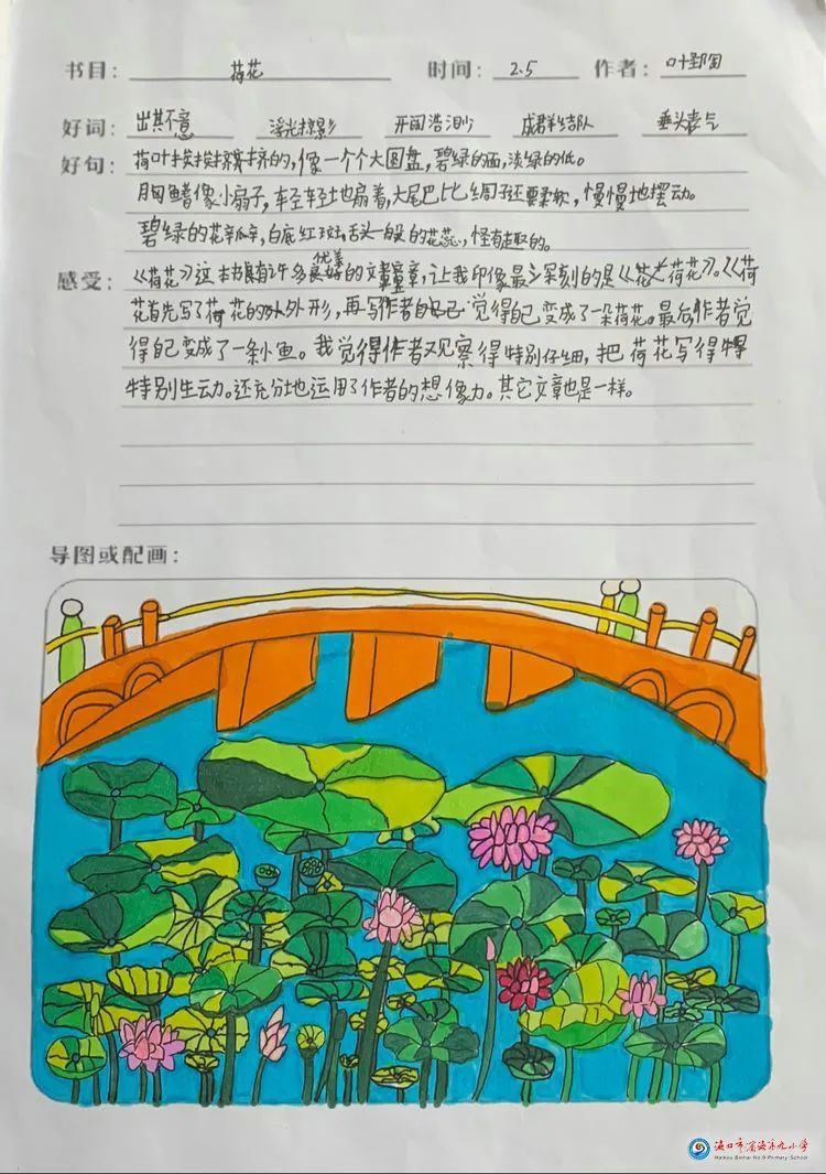 莲花导图配画图片