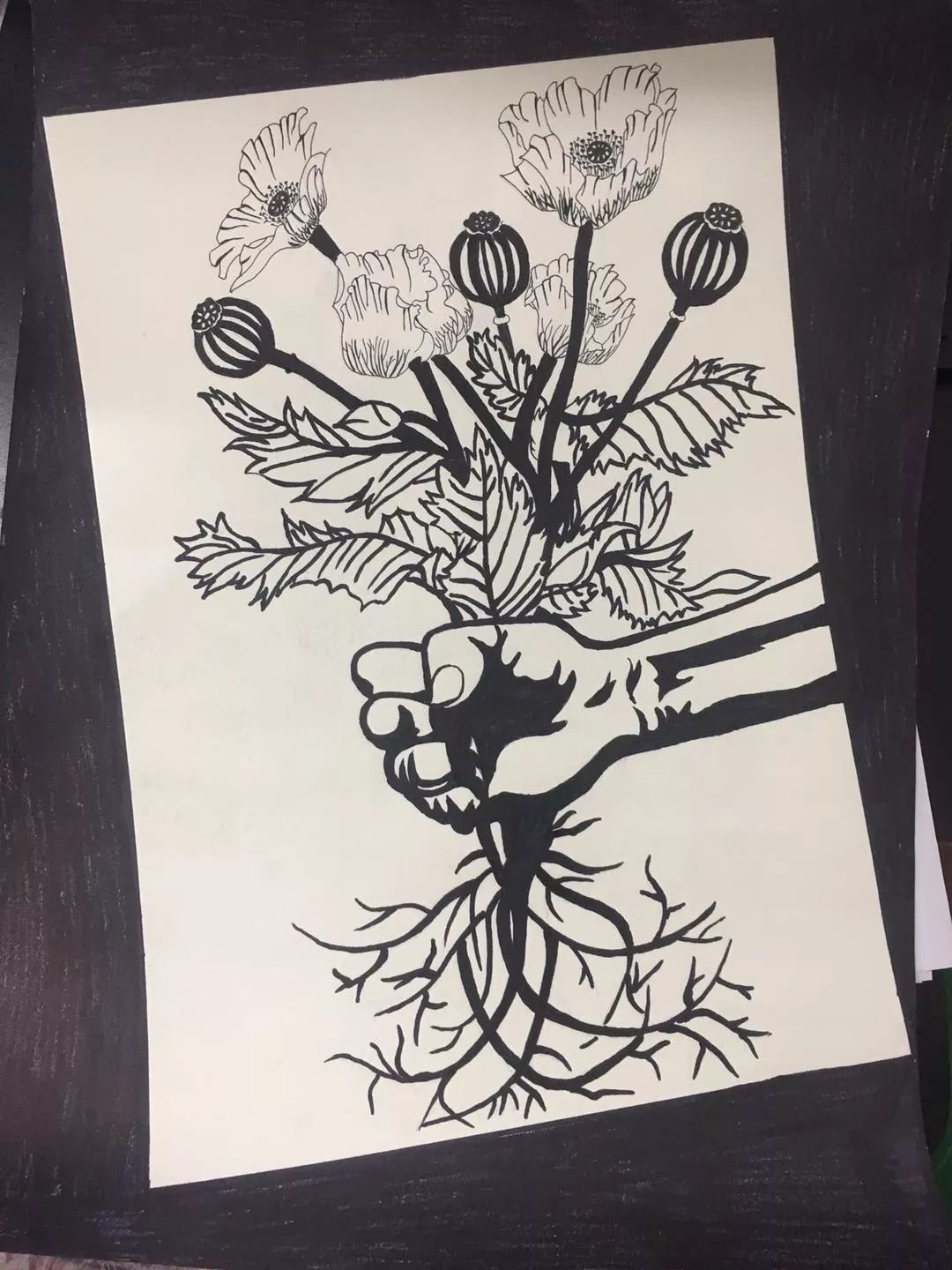 步骤4：根除毒源 呵护生命