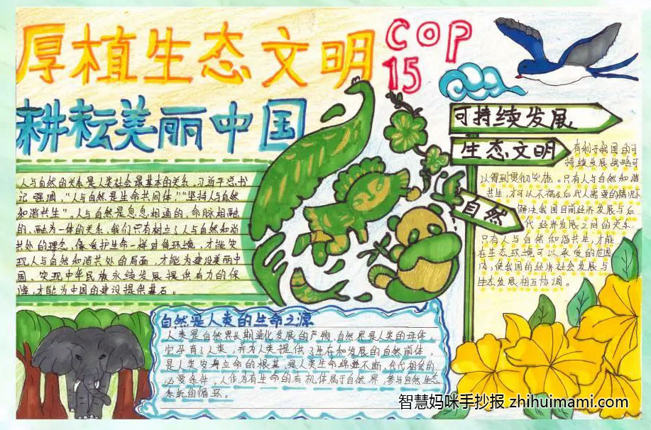 “保护环境 共创生态文明”主题手抄报一等奖（7张）-图7