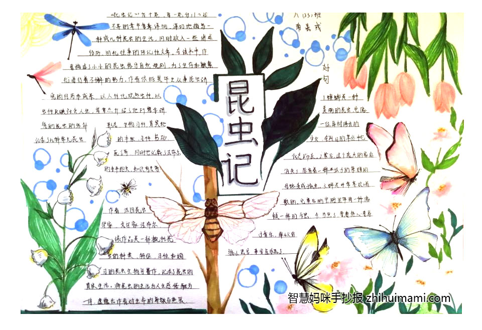 七年级昆虫记手抄报绘画一等奖（7张）-图3