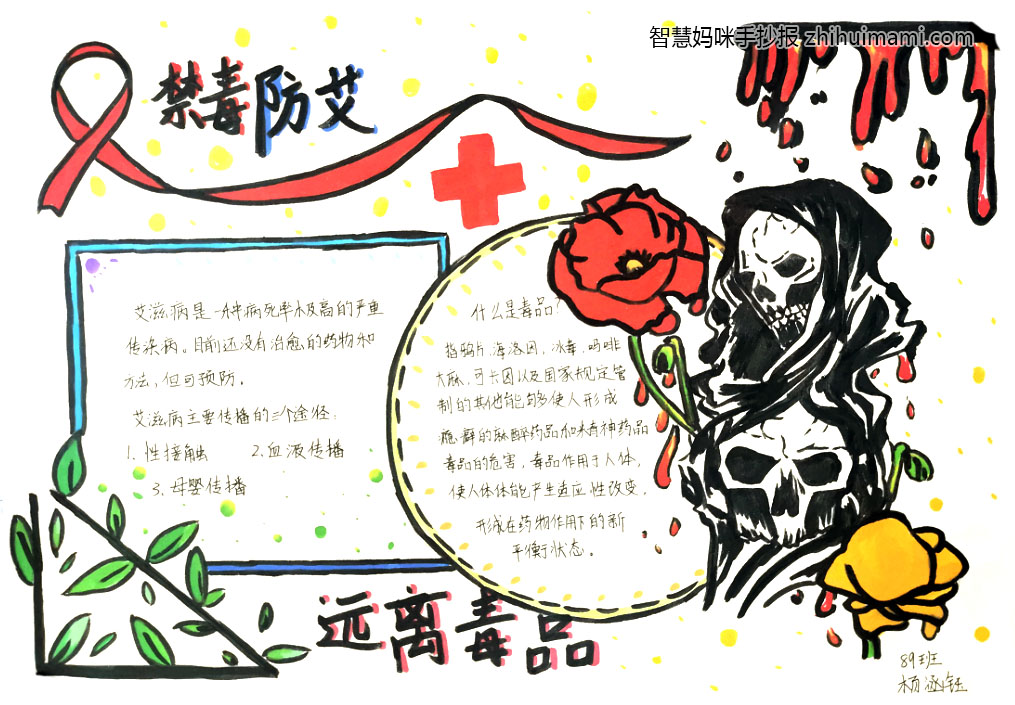 2022年国际禁毒日手抄报一等奖（8张）-图6