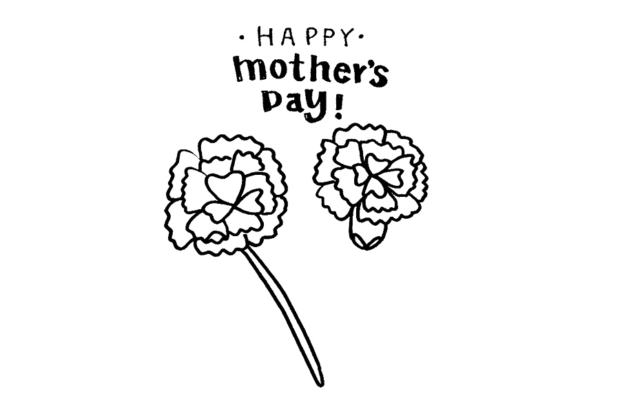 母情节送给妈妈的花 康乃馨怎么画-图4