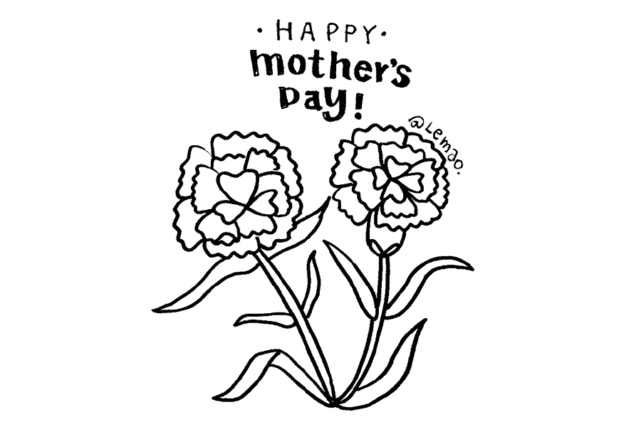 母情节送给妈妈的花 康乃馨怎么画-图5