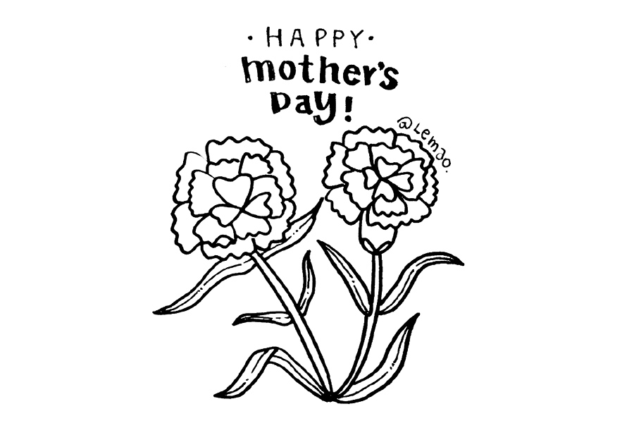 母情节送给妈妈的花 康乃馨怎么画-图6