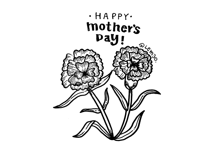 母情节送给妈妈的花 康乃馨怎么画-图8