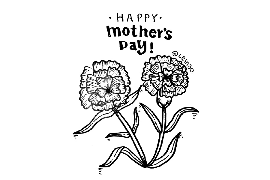 母情节送给妈妈的花 康乃馨怎么画