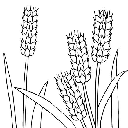步骤2：接着我们用勾线笔对铅笔草图进行勾线。