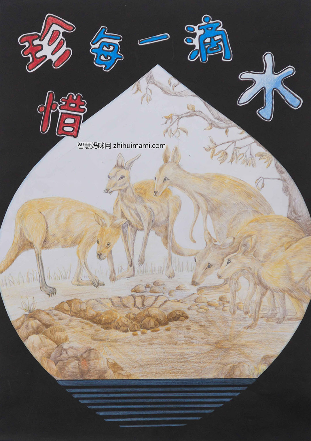 步骤6：郭秋童-珍惜每一滴水