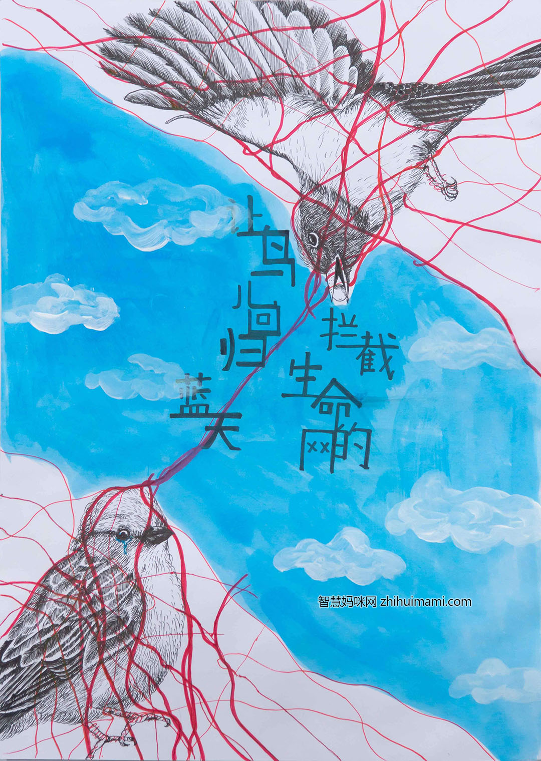 步骤1：陈煜昊-让鸟儿回归蓝天