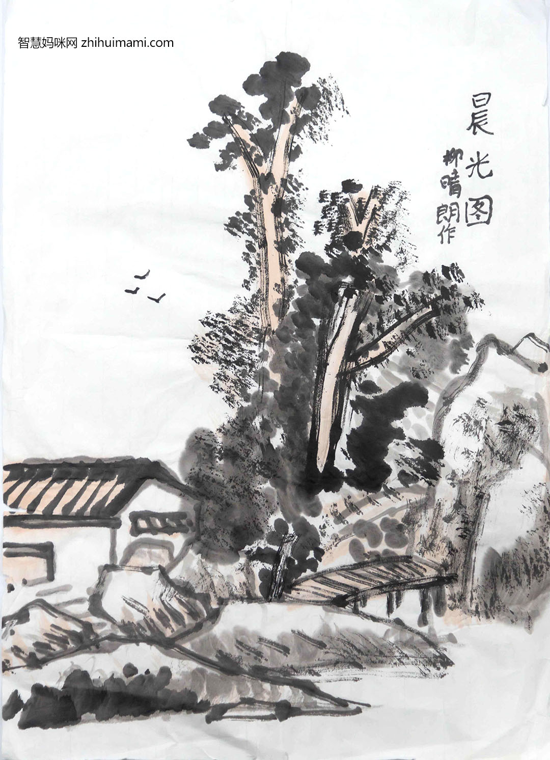 步骤5：柳晴朗-晨光图