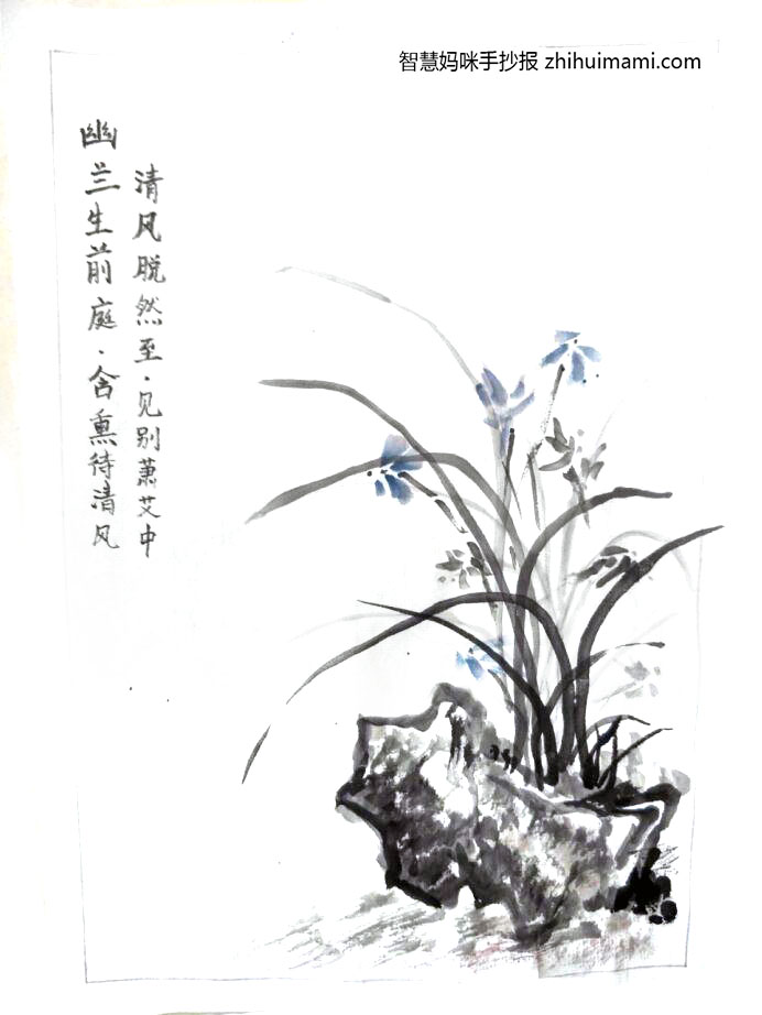 陶渊明古诗《饮西幽兰生前庭》诗配画
