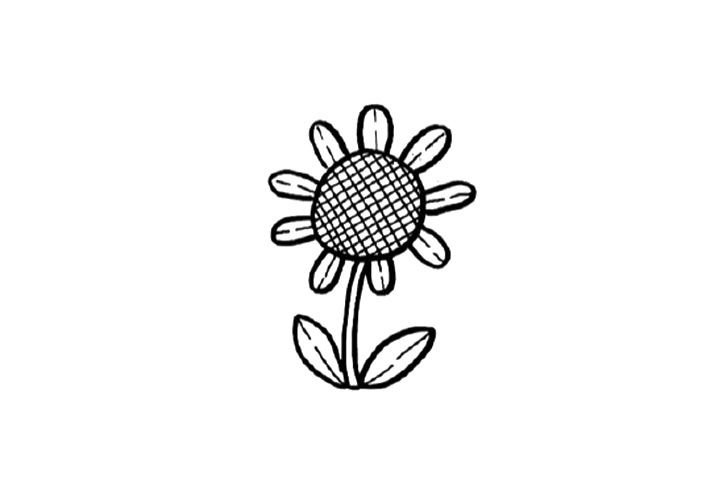 春天里的花花草草 春天是百花盛开的季节-图2