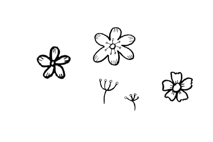 春天里的花花草草 春天是百花盛开的季节-图3