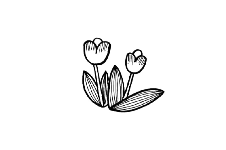 春天里的花花草草 春天是百花盛开的季节-图4