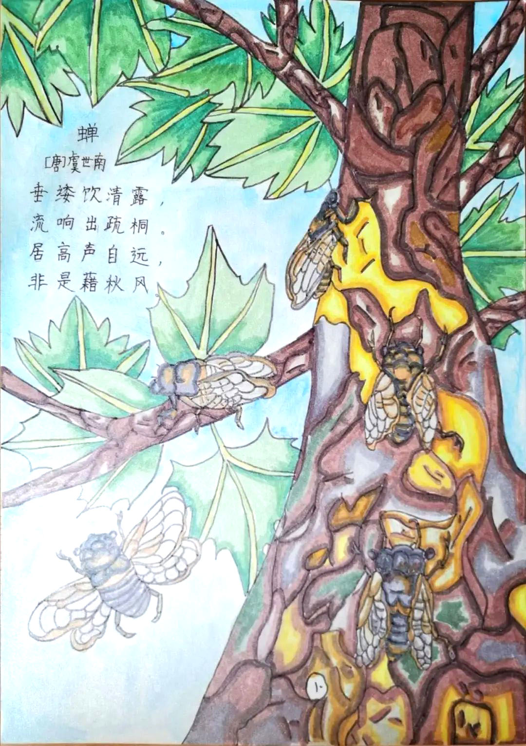 关于蝉的古诗绘画 蝉诗配画作品