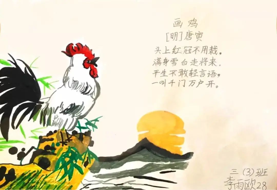 小学画鸡古诗配画