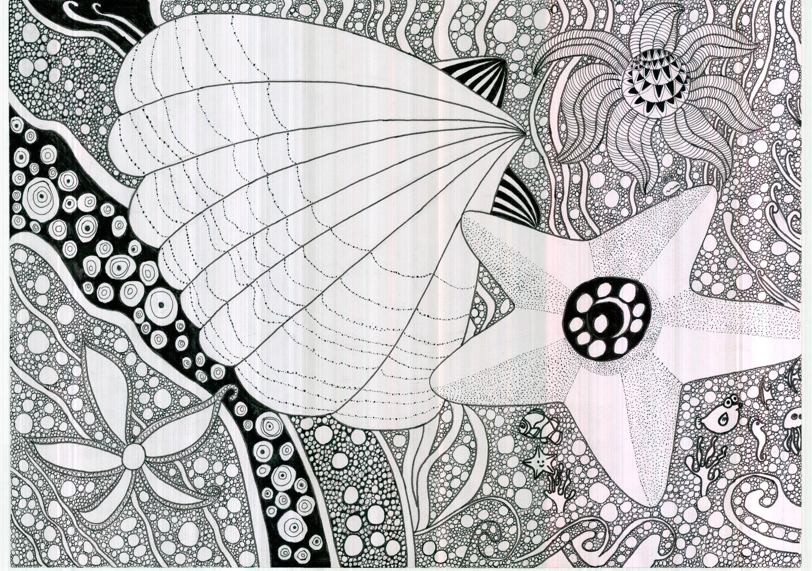 步骤6：赶海的收获