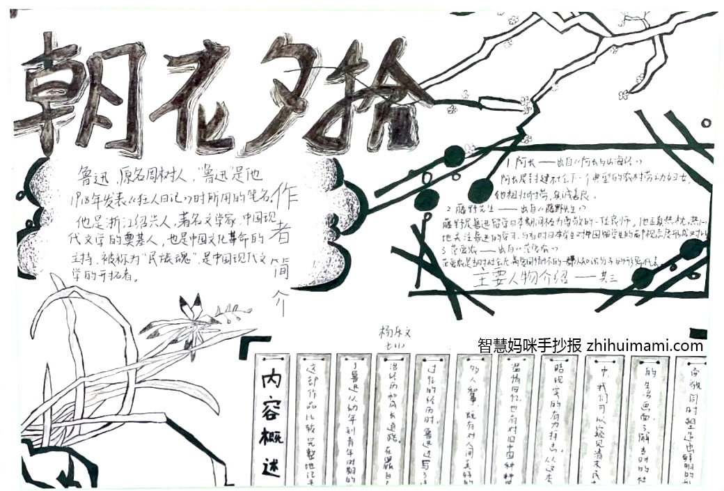 好书推荐-朝花夕拾手抄报简单又漂亮（9张）-图7