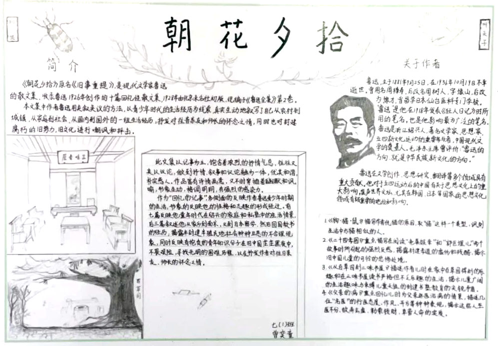 朝花夕拾读书卡精美漂亮-图6