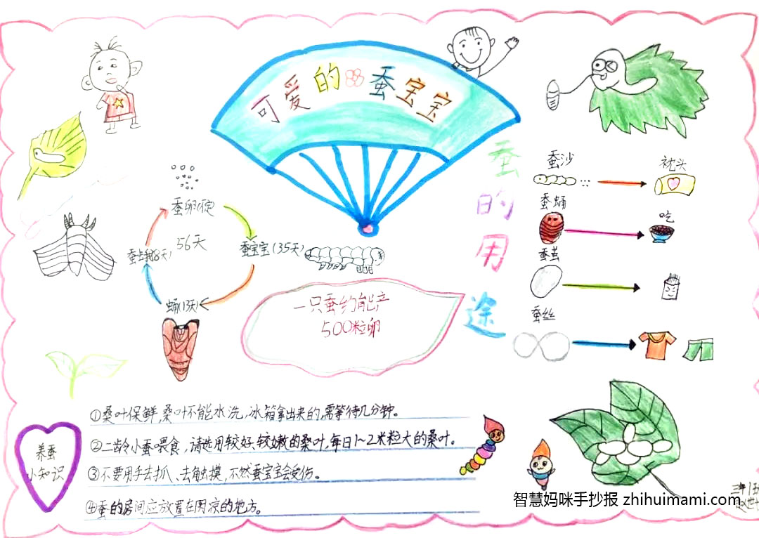 蚕宝宝成长记手抄报这样画好看-图4
