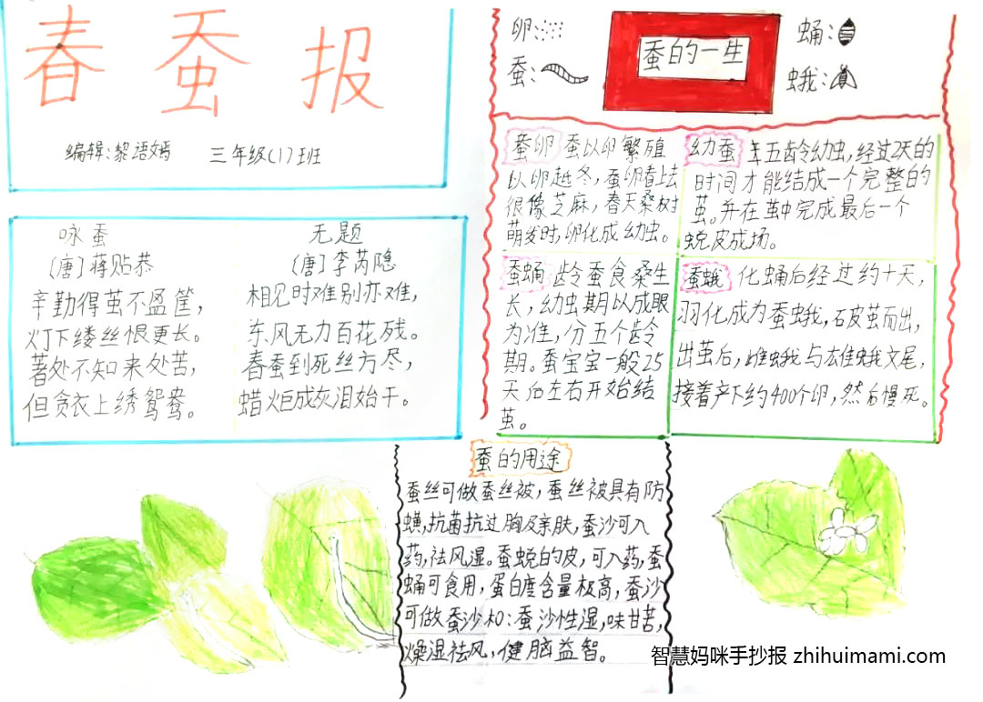 蚕宝宝成长记手抄报这样画好看-图5
