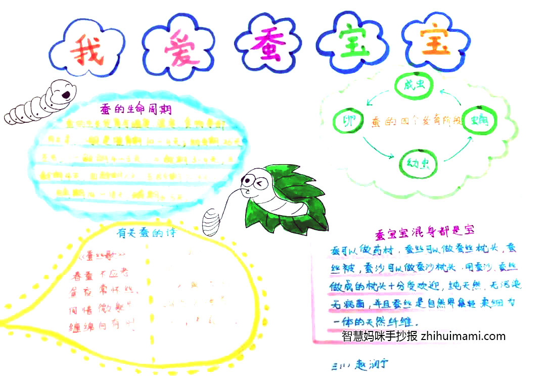 四年级蚕宝宝手抄报简单好画-图3