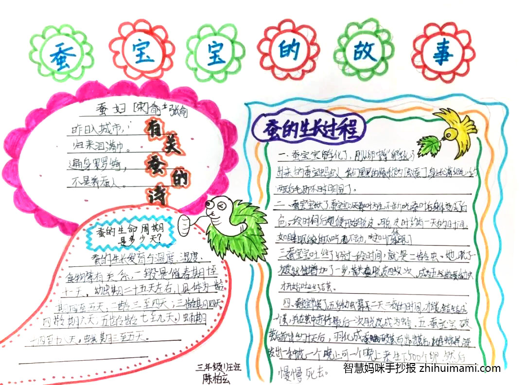 四年级蚕宝宝手抄报简单好画-图5