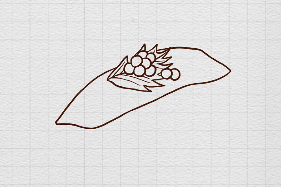 一大份寿司简笔画画法步骤-图3