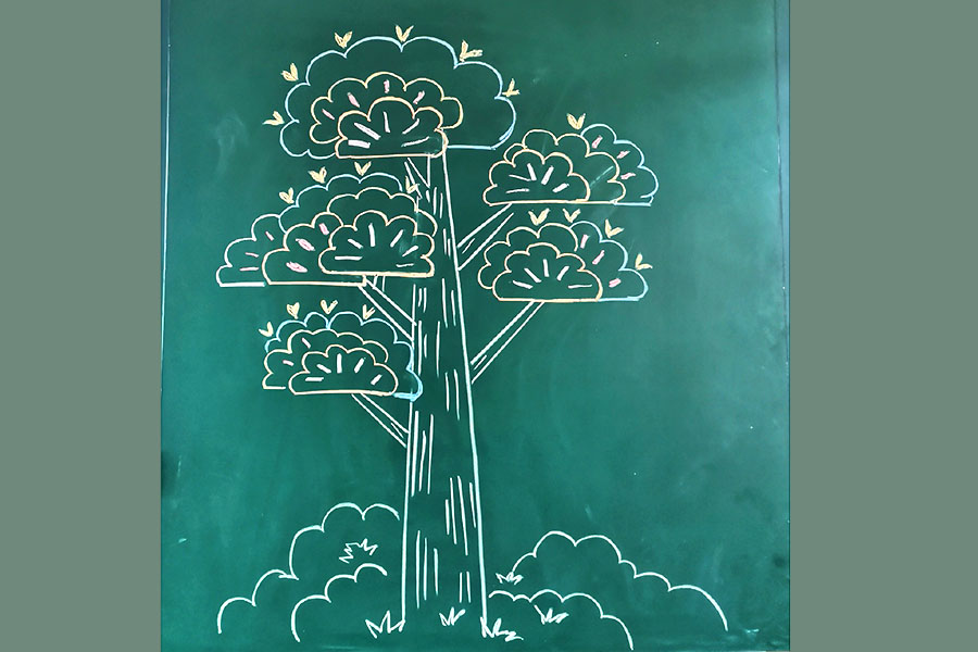 一组漂亮的大树粉笔画图片 黑板报绘画素材-图1