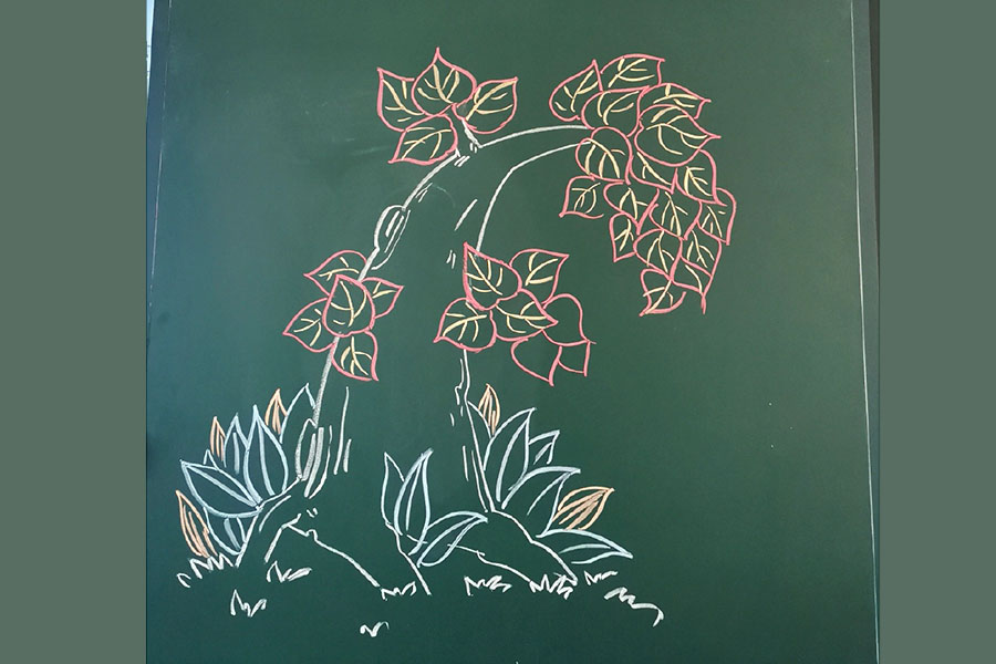 一组漂亮的大树粉笔画图片 黑板报绘画素材-图9