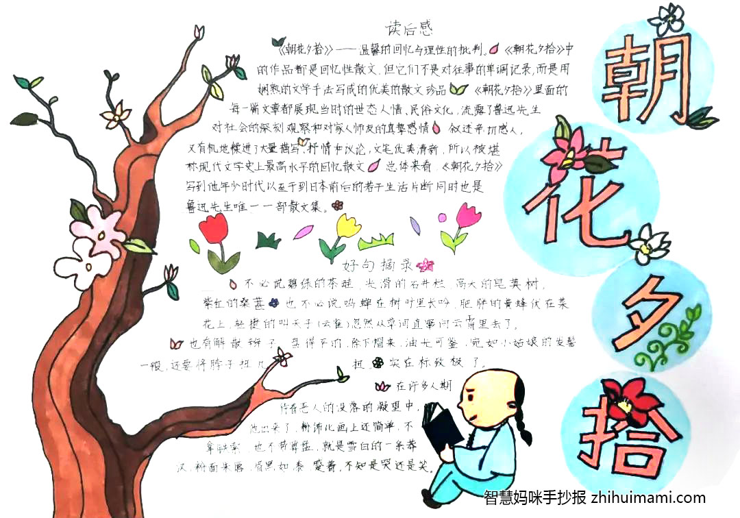 9张关于朝花夕拾的手抄报图片-图4