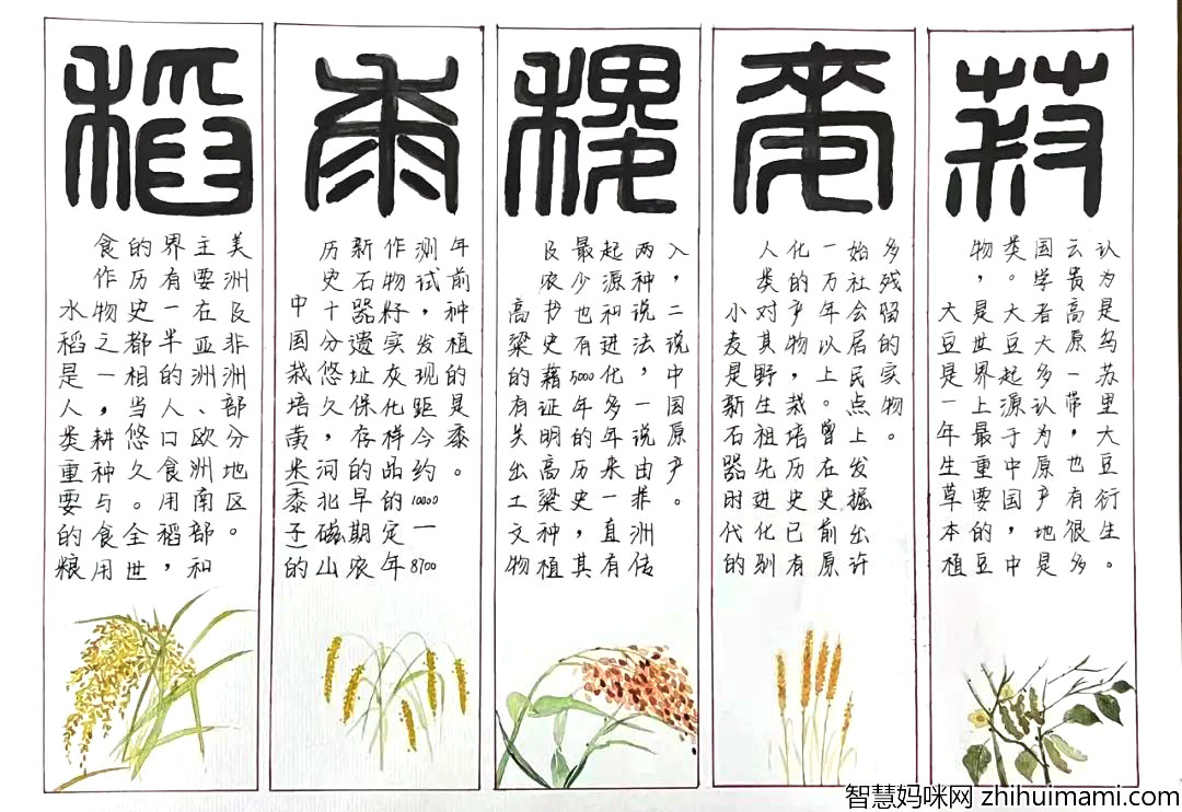 节约粮食 从现在做起手抄报获奖作品-图5