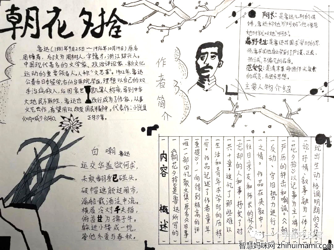 语文名著《朝花夕拾》手抄报一等奖-图2