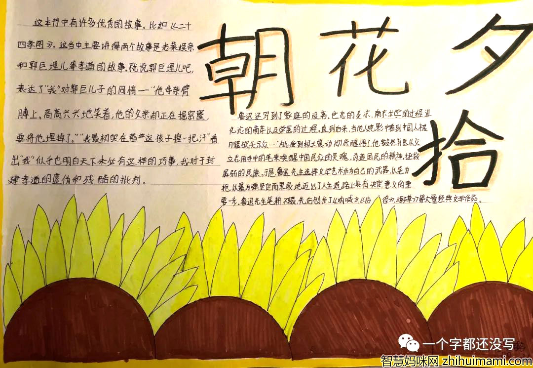 语文名著《朝花夕拾》手抄报一等奖-图4