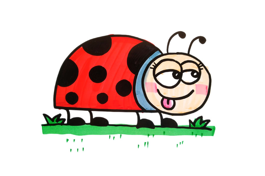 三张简单的七星瓢虫简笔画图片-图3