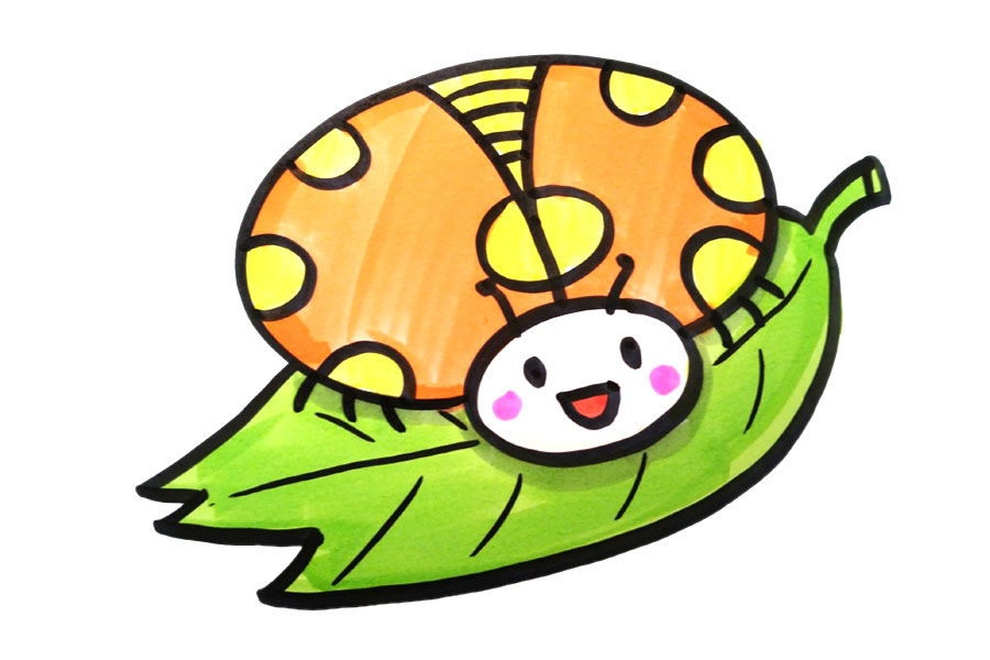 三张简单的七星瓢虫简笔画图片-图2