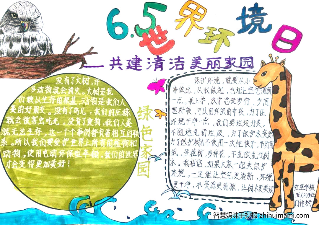世界环境日手抄报图片简单好画-图3