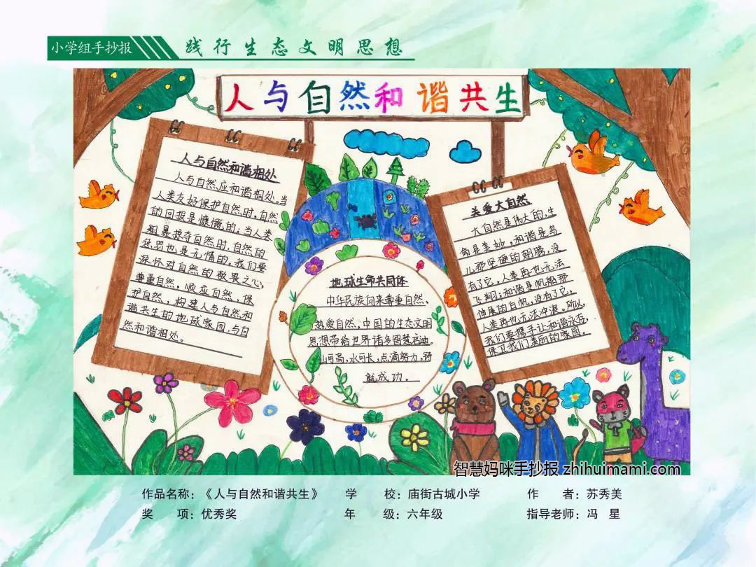 人与自然和谐共生主题手抄报获奖作品（8张）-图3