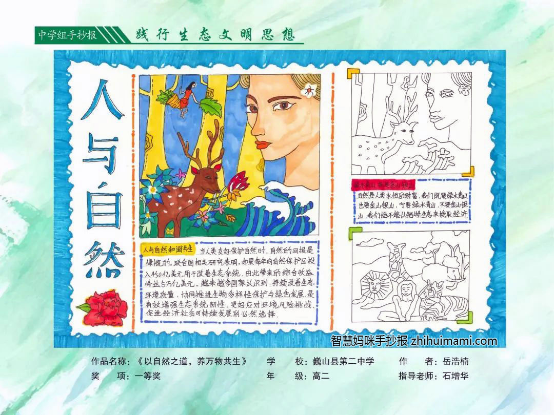 人与自然和谐共生主题手抄报获奖作品（8张）-图5