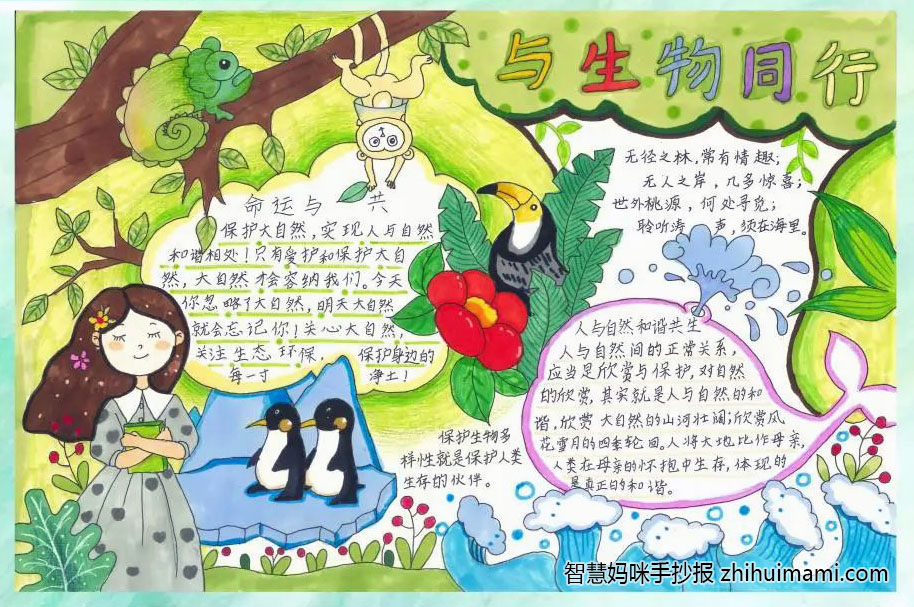 保护自然生态主题手抄报一等奖（8张）-图1