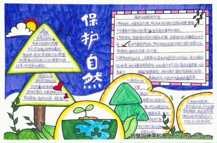 保护自然生态主题手抄报一等奖（8张）-图4