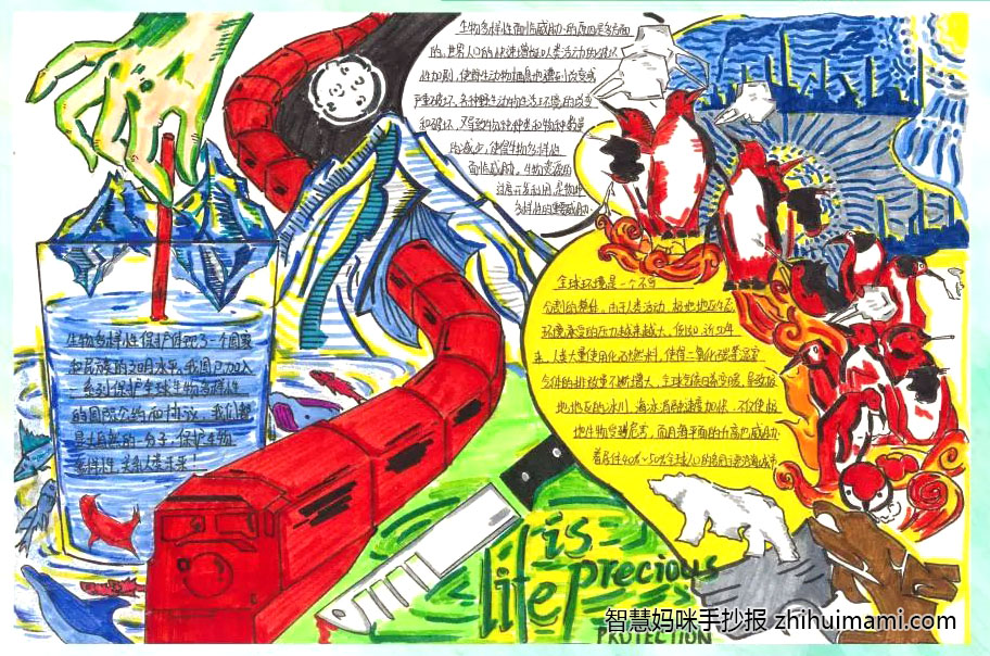 保护自然生态主题手抄报一等奖（8张）-图7
