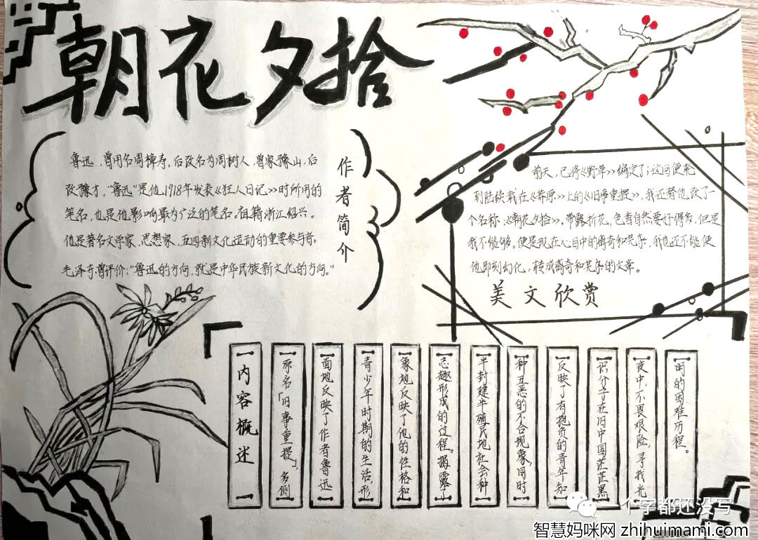 关于朝花夕拾的手抄报画法-图1