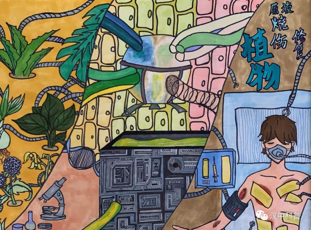 步骤3：汉中市龙岗学校《 植物原液烧伤修复》唐萌阳