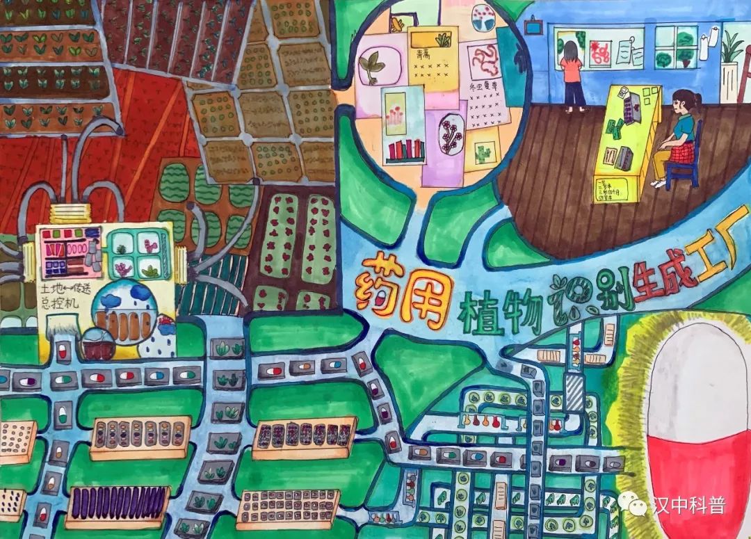 步骤6：汉中市龙岗学校《药用植物识别生成工厂》李柯菲尔