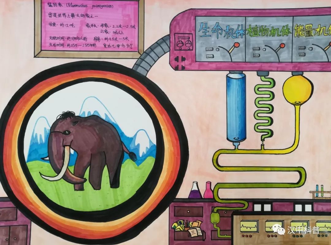 步骤4：汉中市汉师附小《动物细胞提取器》王蔚绮