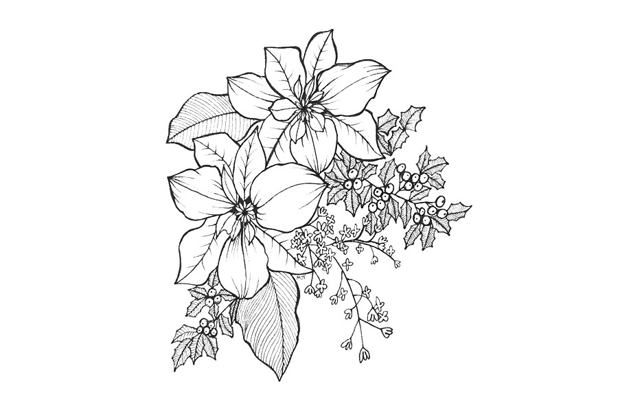 一组漂亮的线描花束简笔画图片-图4