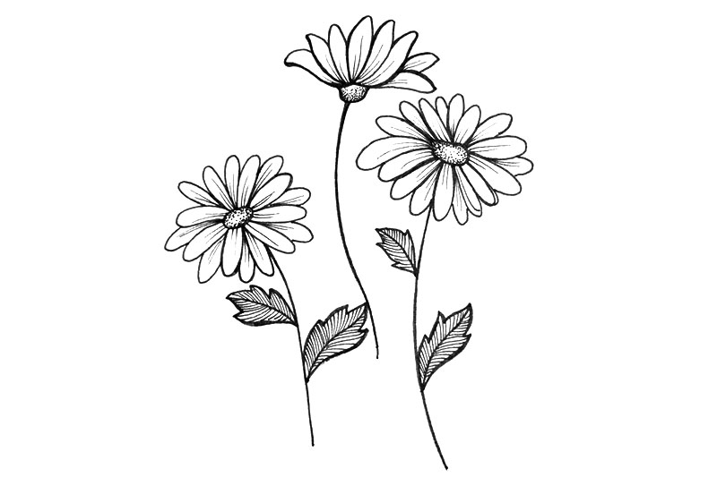 一组漂亮的小花简笔画图片-图9